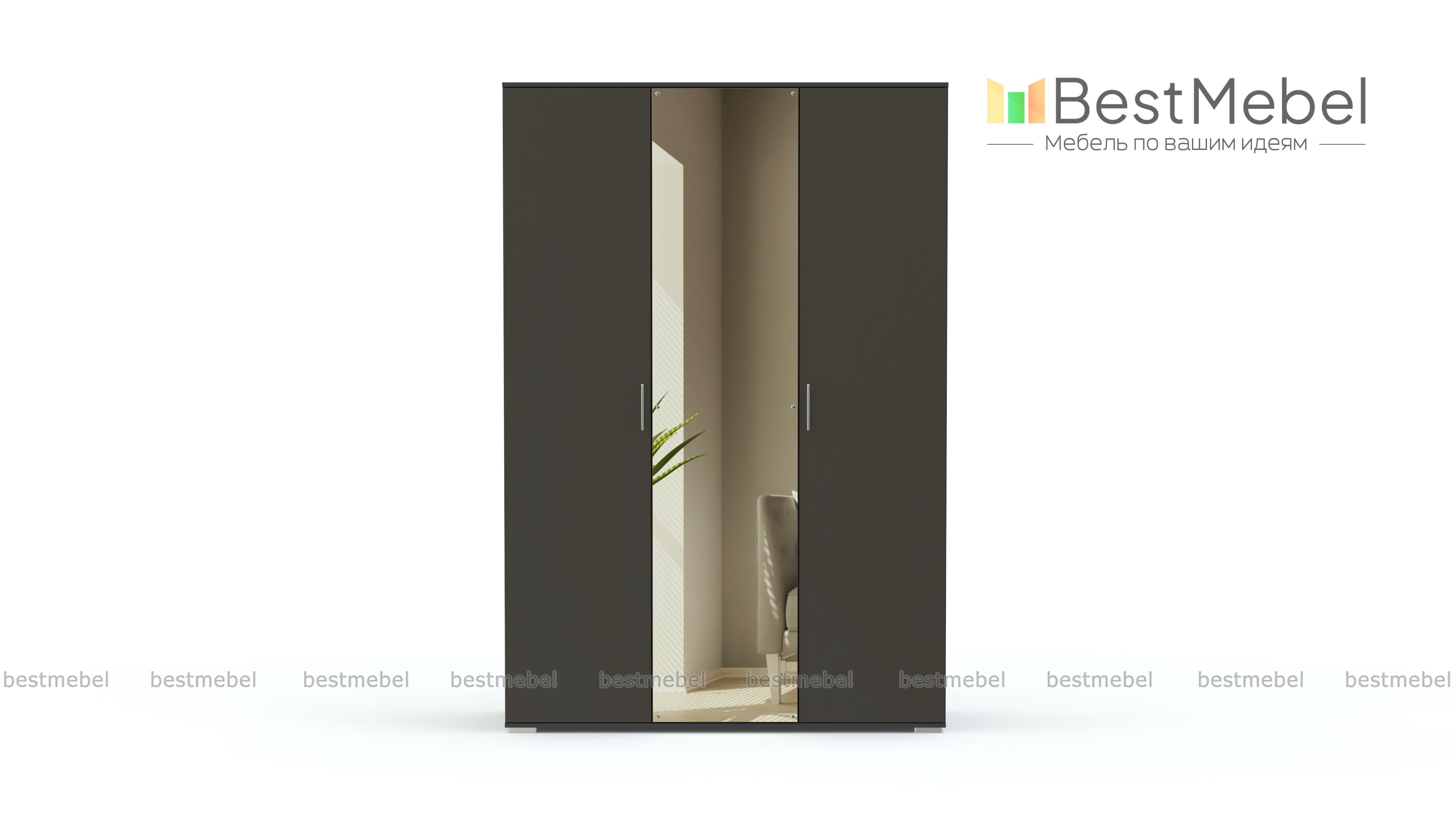 Распашной шкаф Селин BMS - Фото